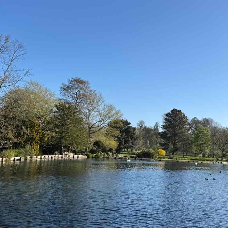 PacerGal_1981 post 1