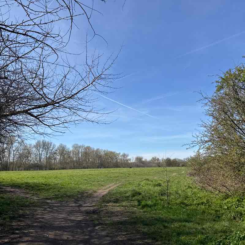 PacerGal_1981 post 1