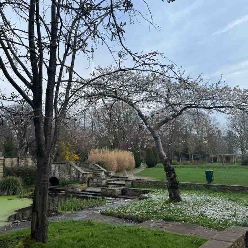 PacerGal_1981 post 1