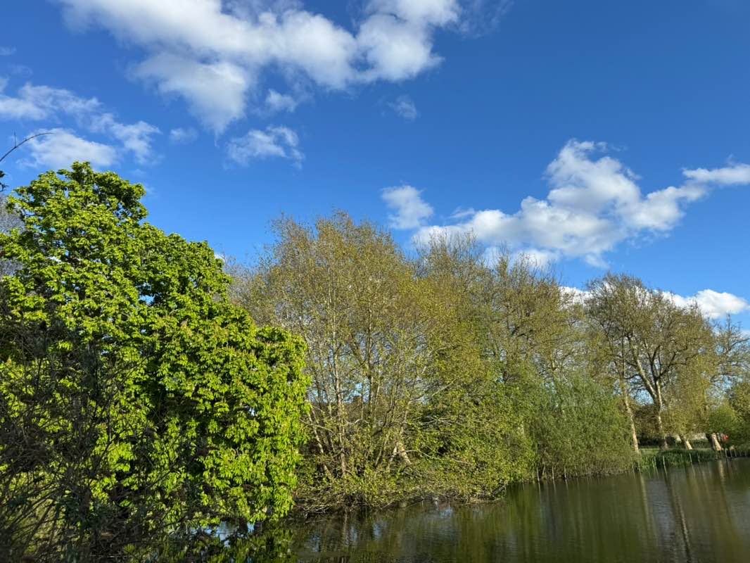 walking near me in Waddon Ponds in spring