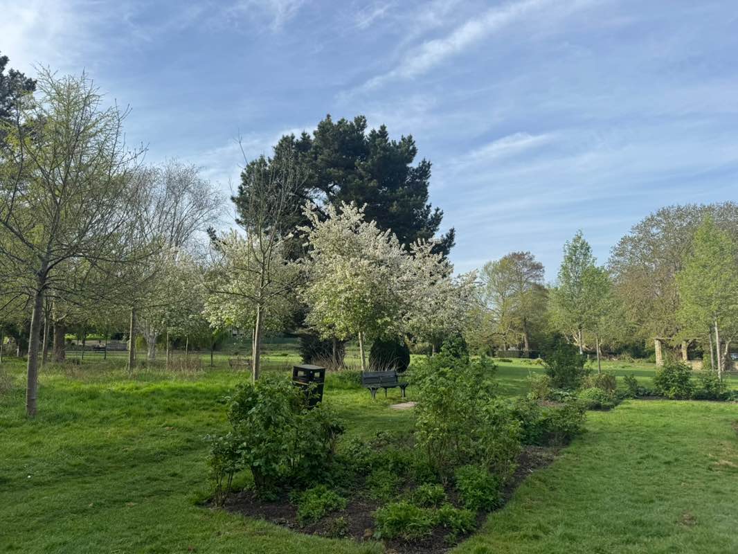 walking near me in Beddington Park in spring