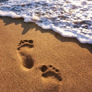 ֹ  ⑅᜔  ׄ ݊  Somya ݂   ۪ ֹ ᮫ icon