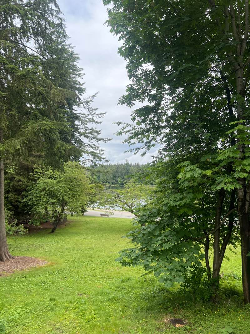 walking near me in Stanley Park in summer
