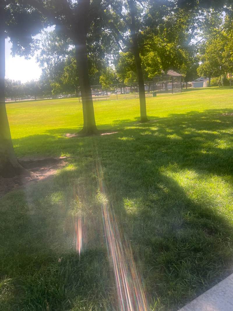 walking near me in Foulks Park in summer