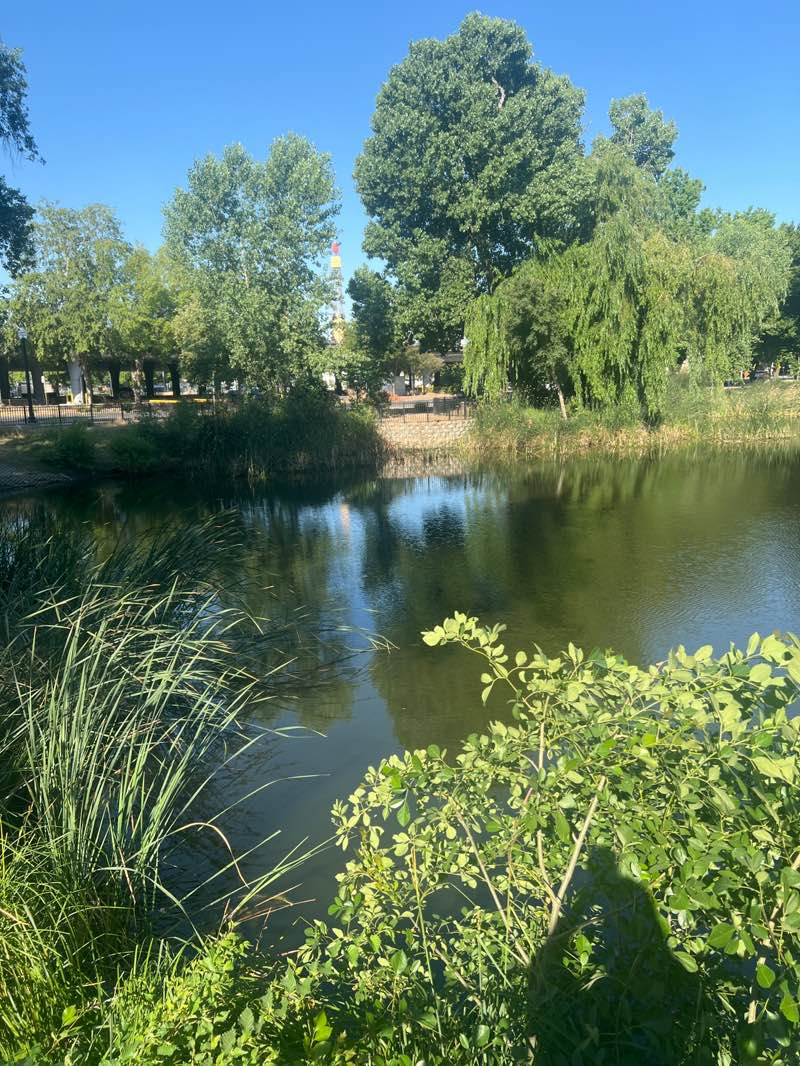 walking near me in Southside Park in summer