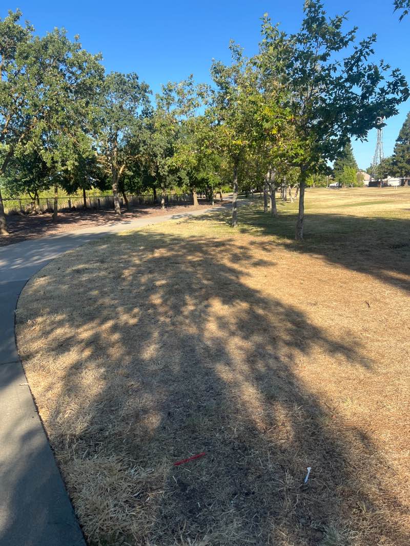 walking near me in Laguna Verde Park in summer