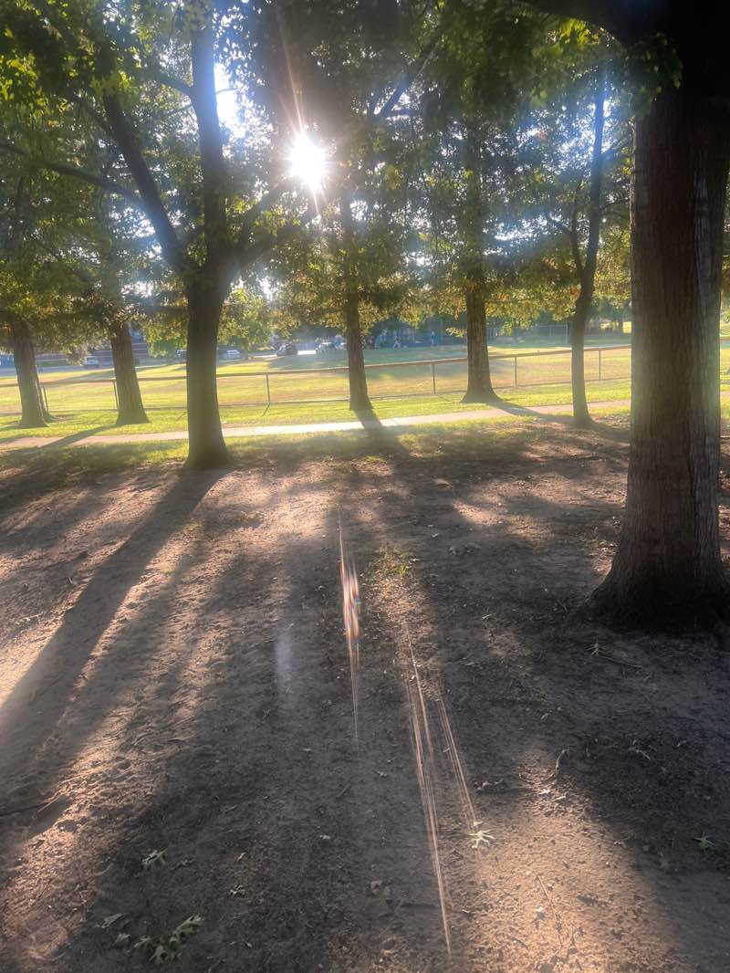walking near me in Kloss Park in summer