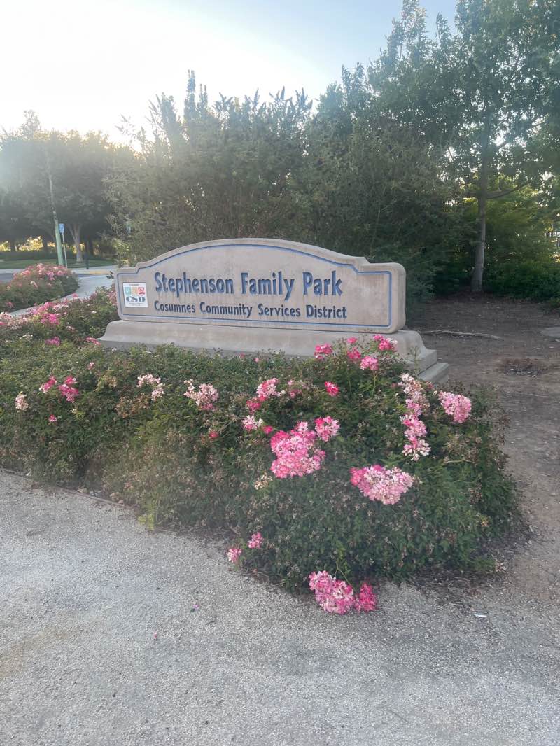 walking near me in Stephenson Family Park in autumn