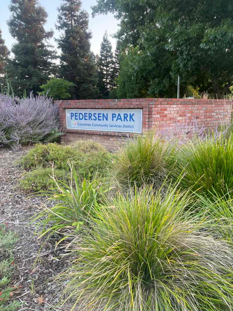 walking near me in Pedersen Park in summer