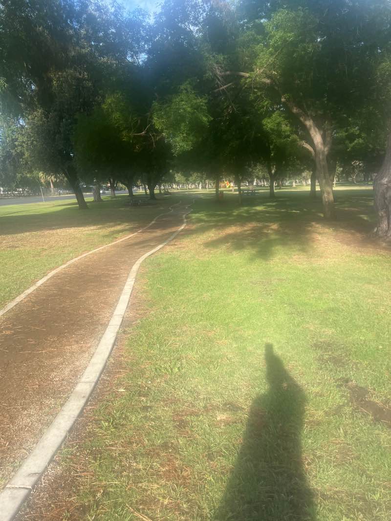 walking near me in Oak Park in autumn