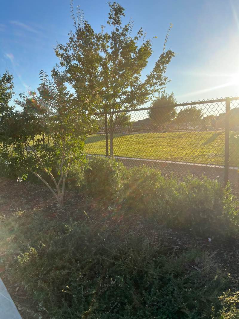 walking near me in Oasis Park in summer