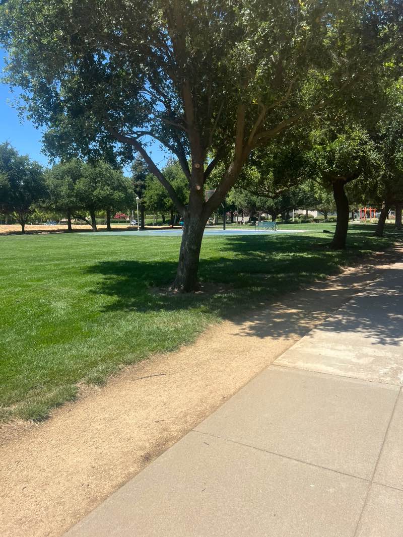 walking near me in Bartholemew Park in autumn