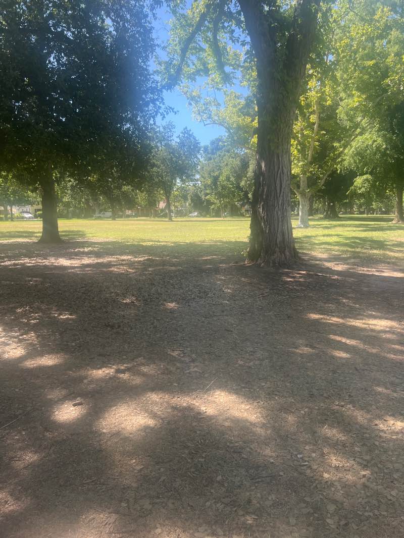 walking near me in Curtis Park in summer