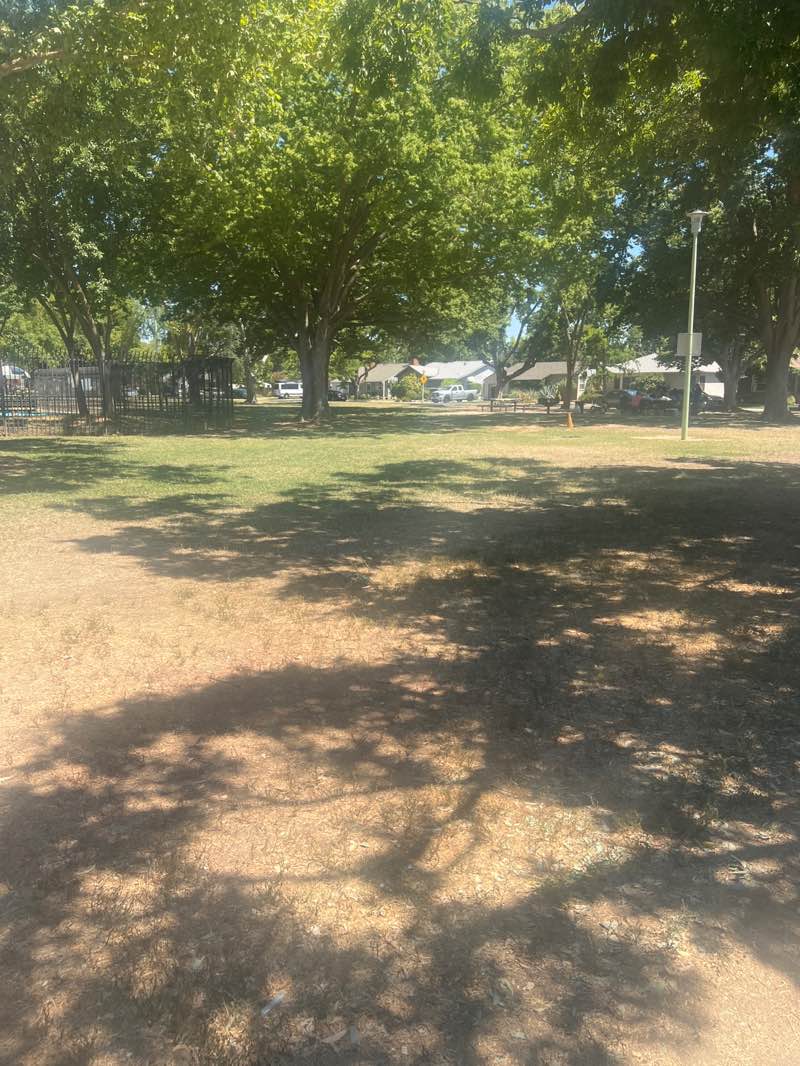 walking near me in Tahoe Park in autumn