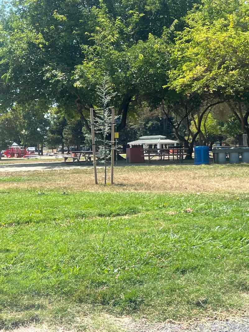 walking near me in John F. Kennedy Memorial Park in autumn