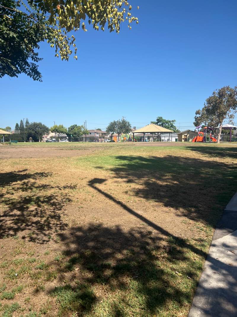 walking near me in Center Park in autumn