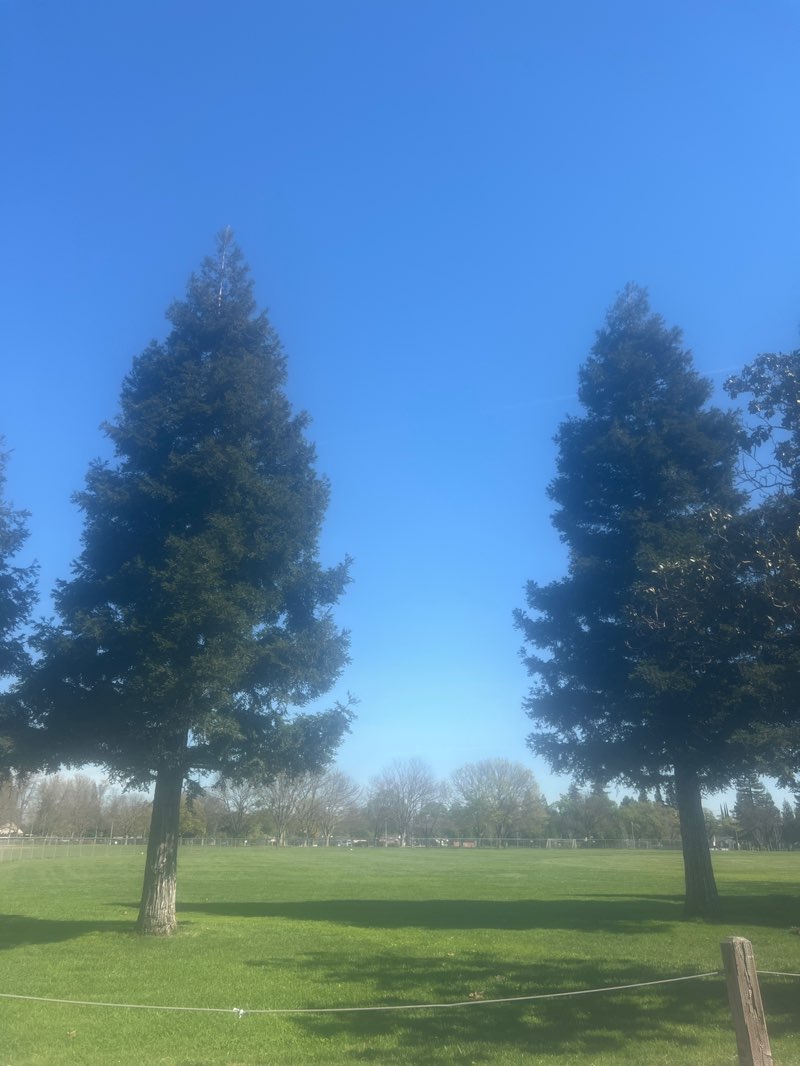 walking near me in Elk Grove County Park in spring