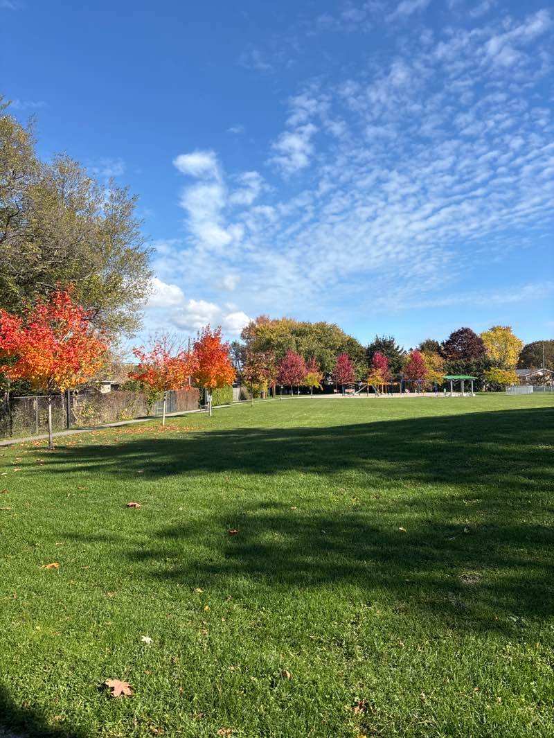 walking near me in Balsdon Park in autumn