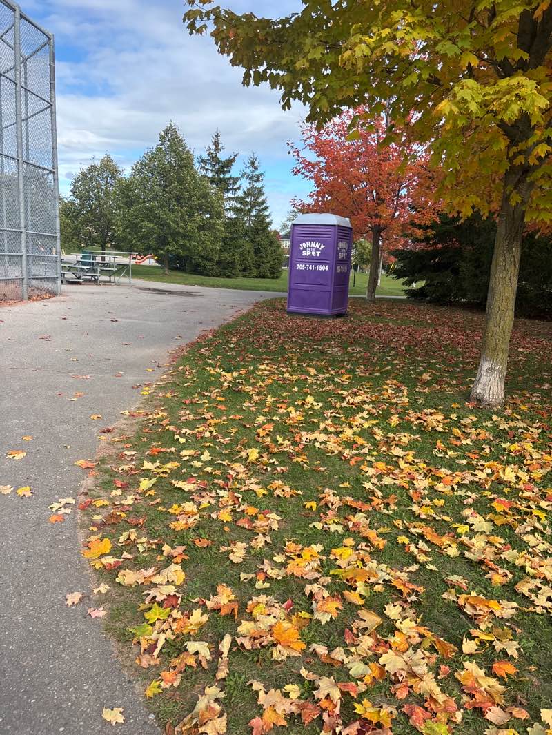 walking near me in Vipond Park in autumn