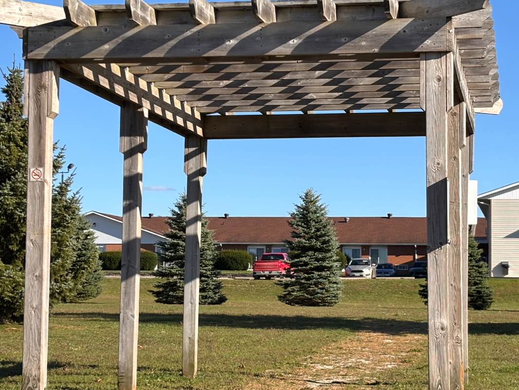 walking near me in Lake Ridge Park in autumn