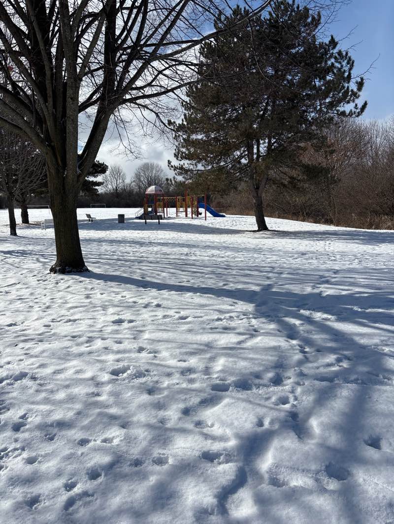 walking near me in Douglas Park in winter