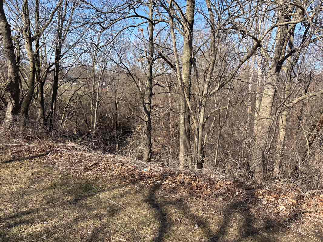 walking near me in Thomson Memorial Park in spring