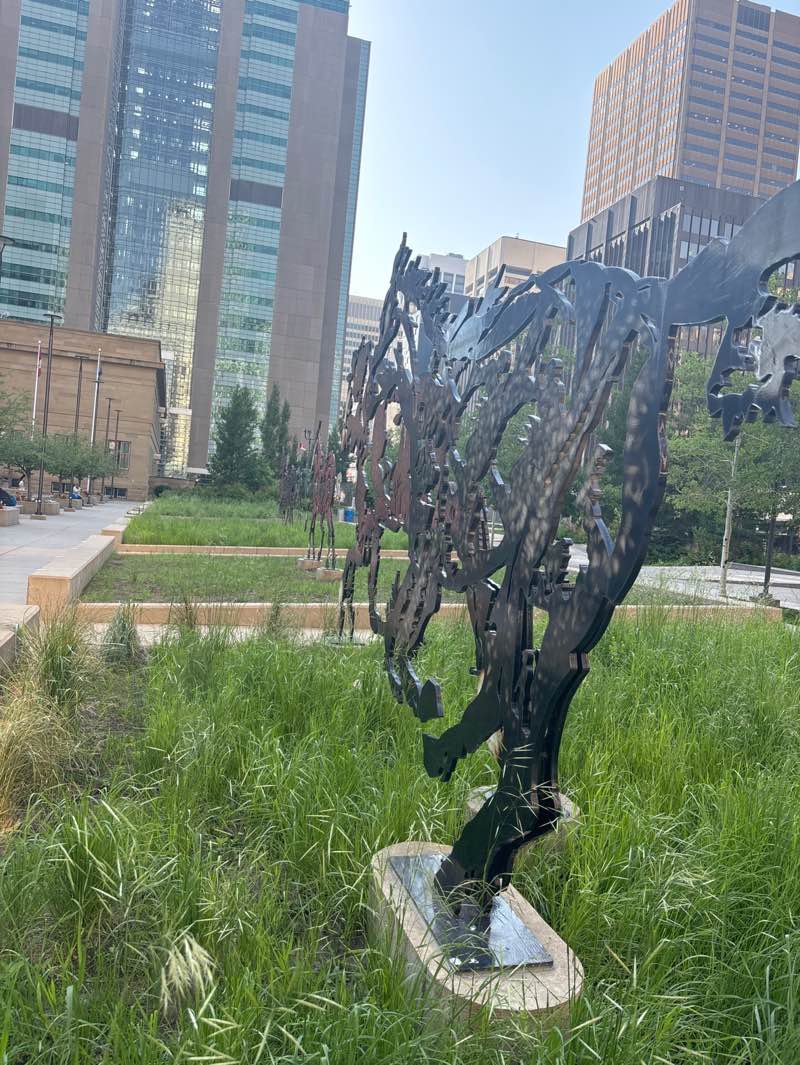 walking near me in Harley Hotchkiss Gardens in summer