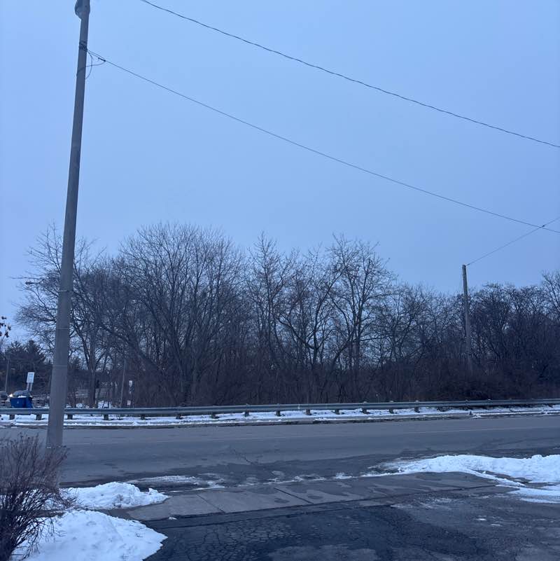 Jennifer 🐾🙏🏳️‍🌈🐶🏒 post 1