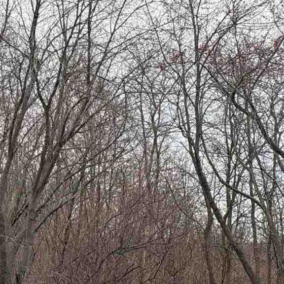 Jennifer 🐾🙏🏳️‍🌈🐶🏒 post 1