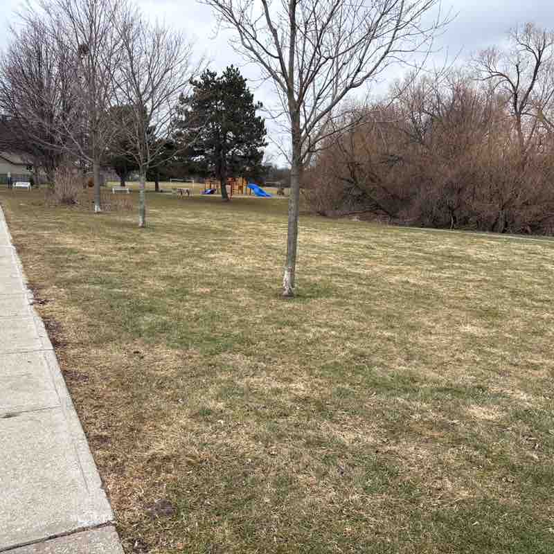 Jennifer 🐾🙏🏳️‍🌈🐶🏒 post 1