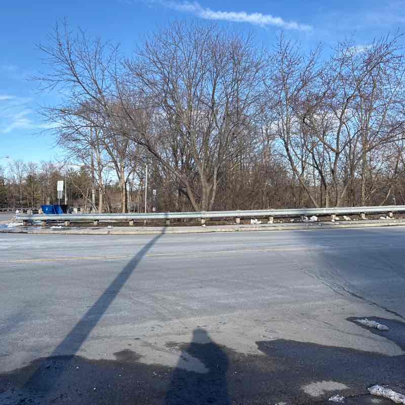 Jennifer 🐾🙏🏳️‍🌈🐶🏒 post 1