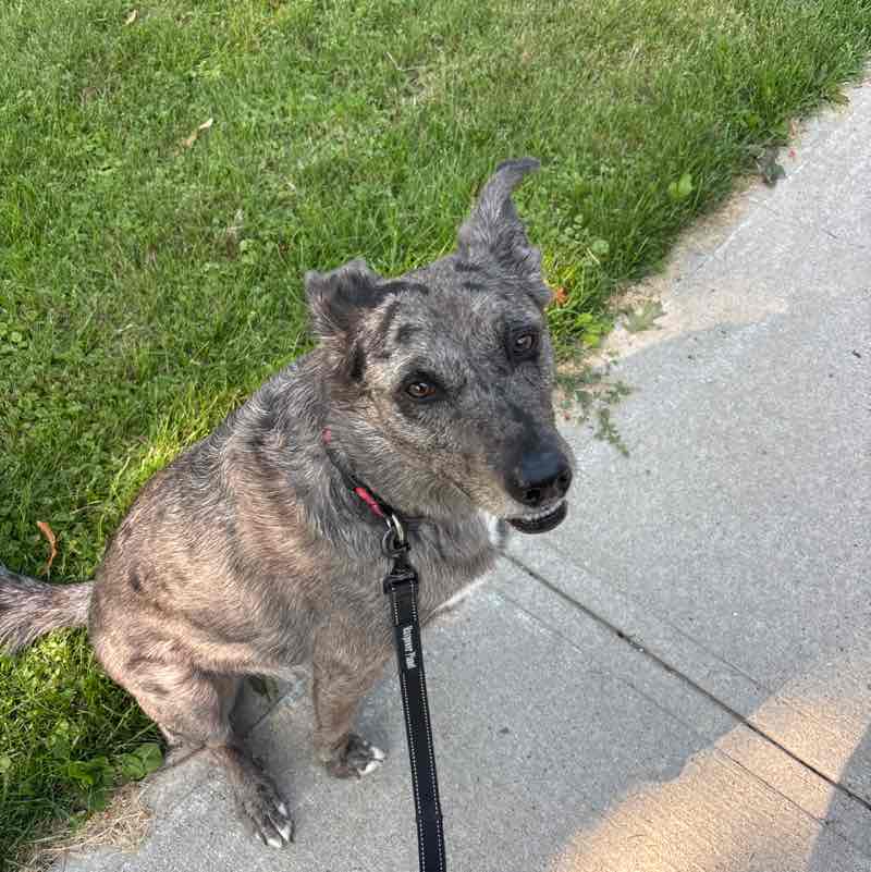 Jennifer 🙏🏳️‍🌈🐶🇨🇦 post 1