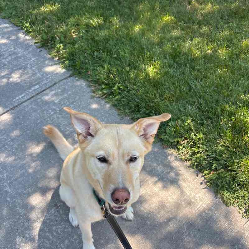 Jennifer 🙏🏳️‍🌈🐶🇨🇦 post 1