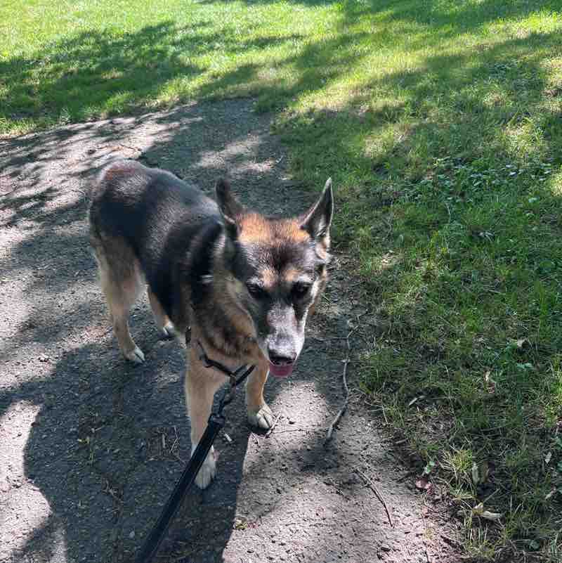 Jennifer 🙏🏳️‍🌈🐶🇨🇦 post 1
