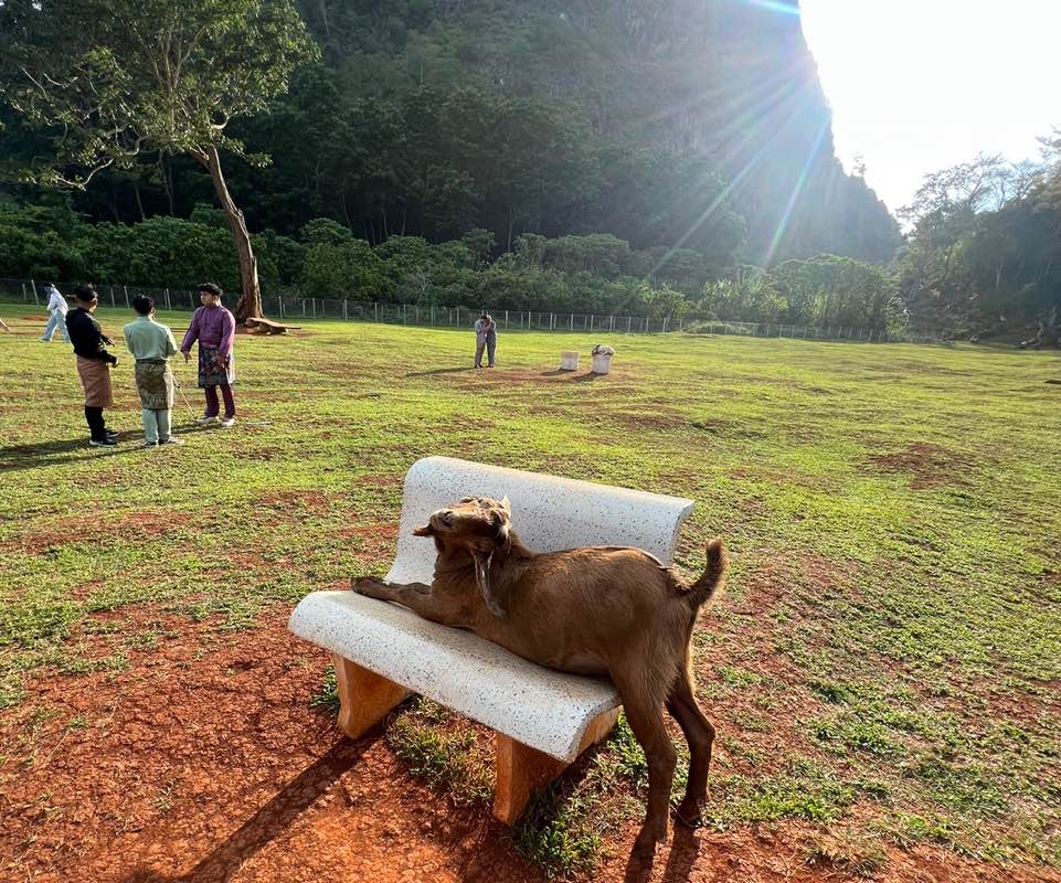 Mukhlis 🇲🇾 🇵🇸