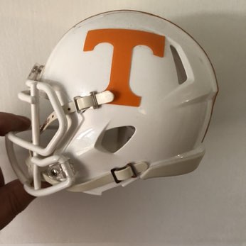 VOLS FAN 1