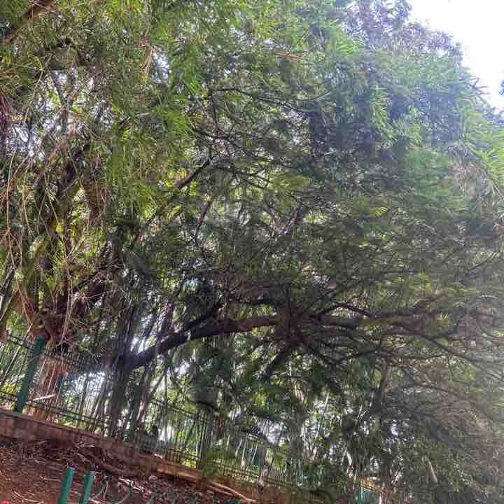 Vinay post 2