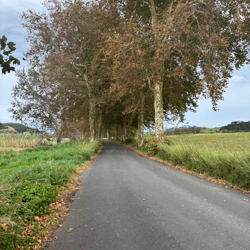 Azorean Sunset Loft 🐳 🐬🇵🇹 post 2