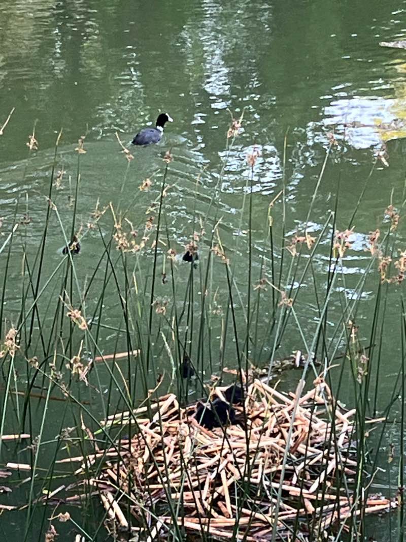 walking near me in Park im. Władysława Reymonta in winter