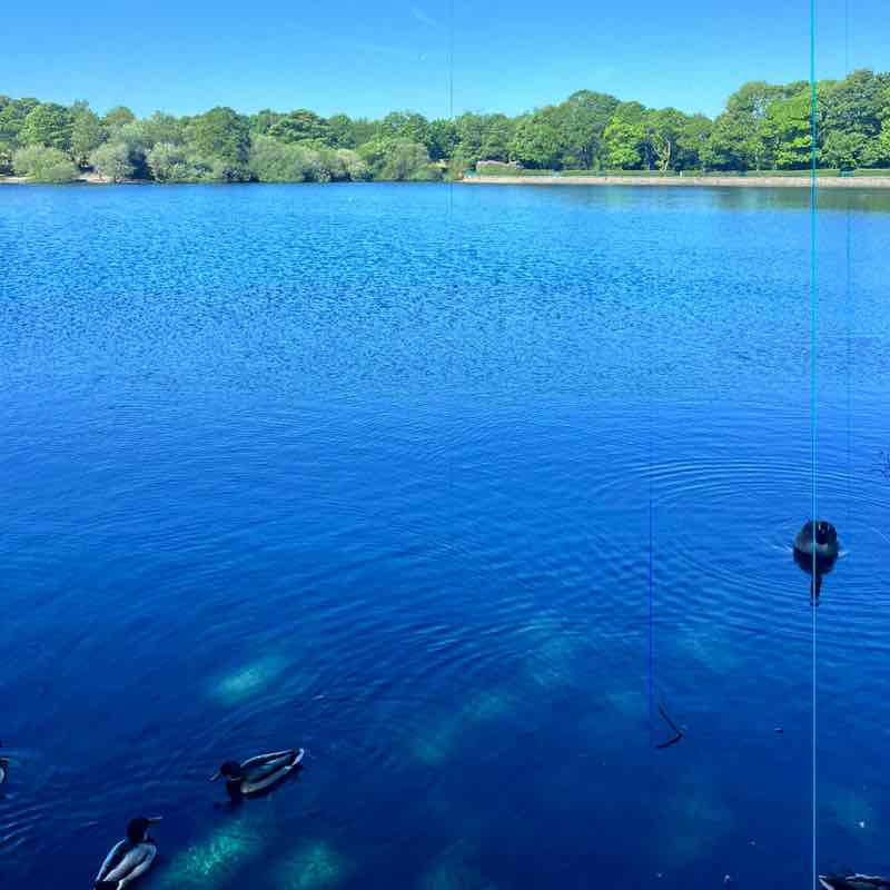 15 k a day guy post 2