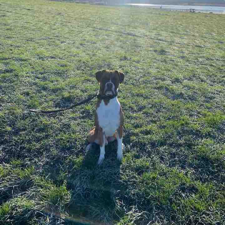 15 k a day guy post 2