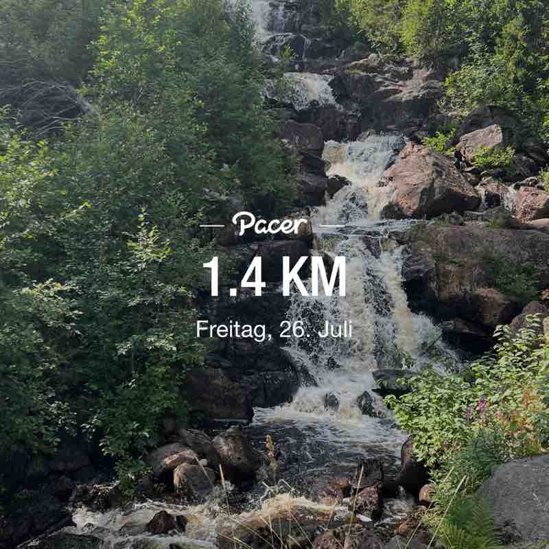 PacerTyp_1953 post 1