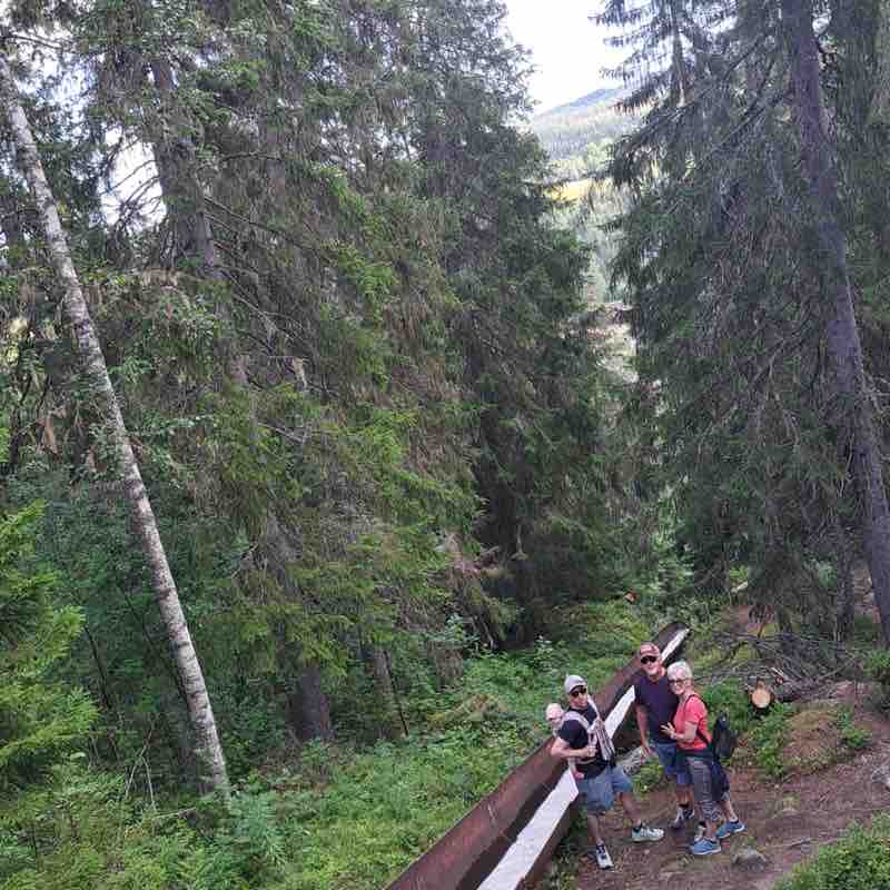 PacerTyp_1953 post 3