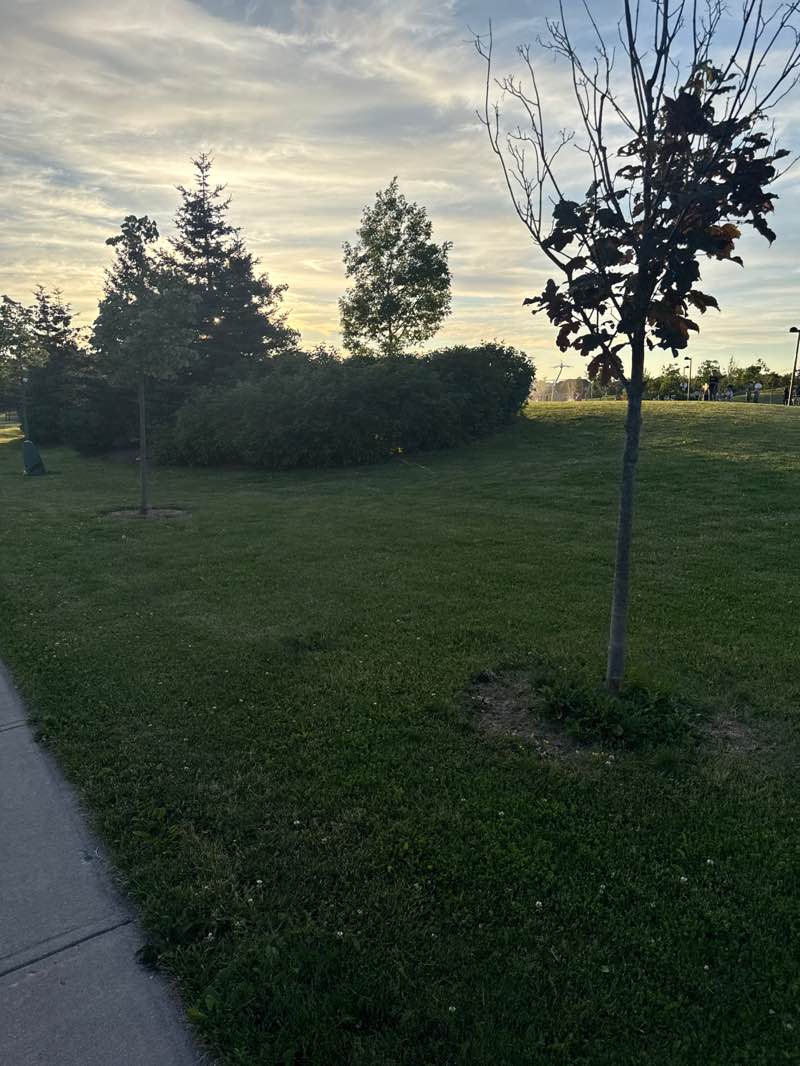 walking near me in Optimist Park in summer