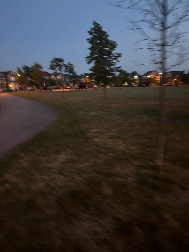 walking near me in Gastle Park in summer