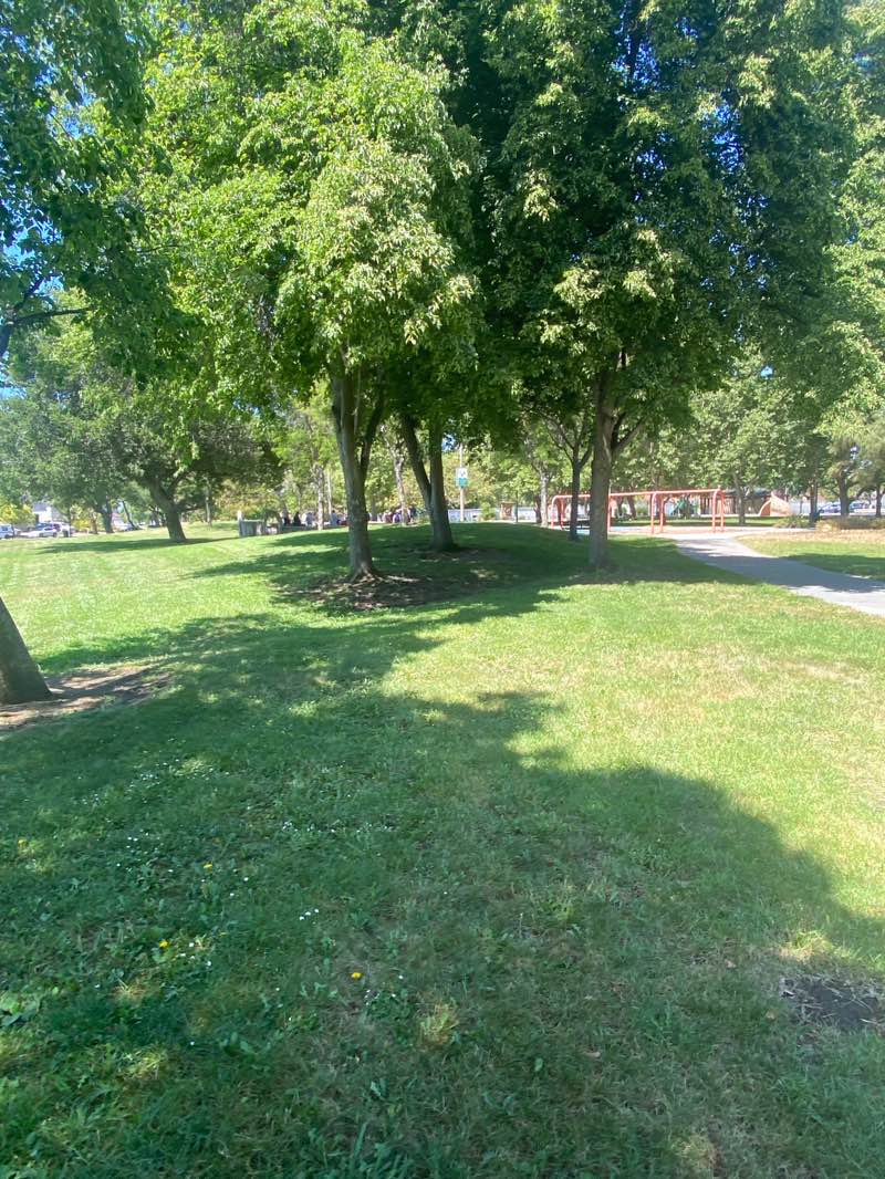 walking near me in Cataldi Park in spring