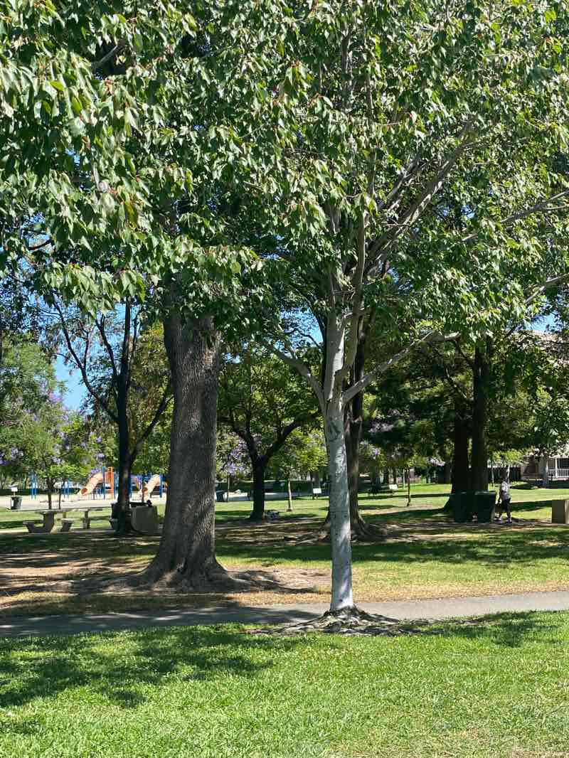 walking near me in Robert E. Browne Park in summer