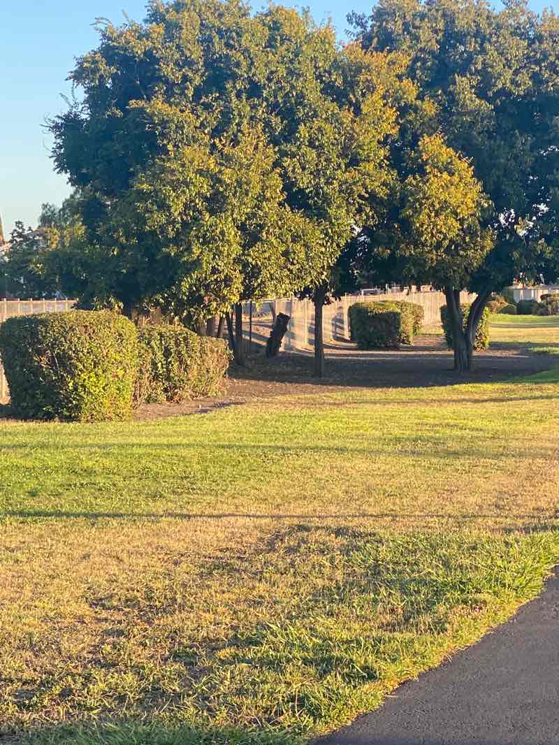 walking near me in Peter T Gill Park in autumn