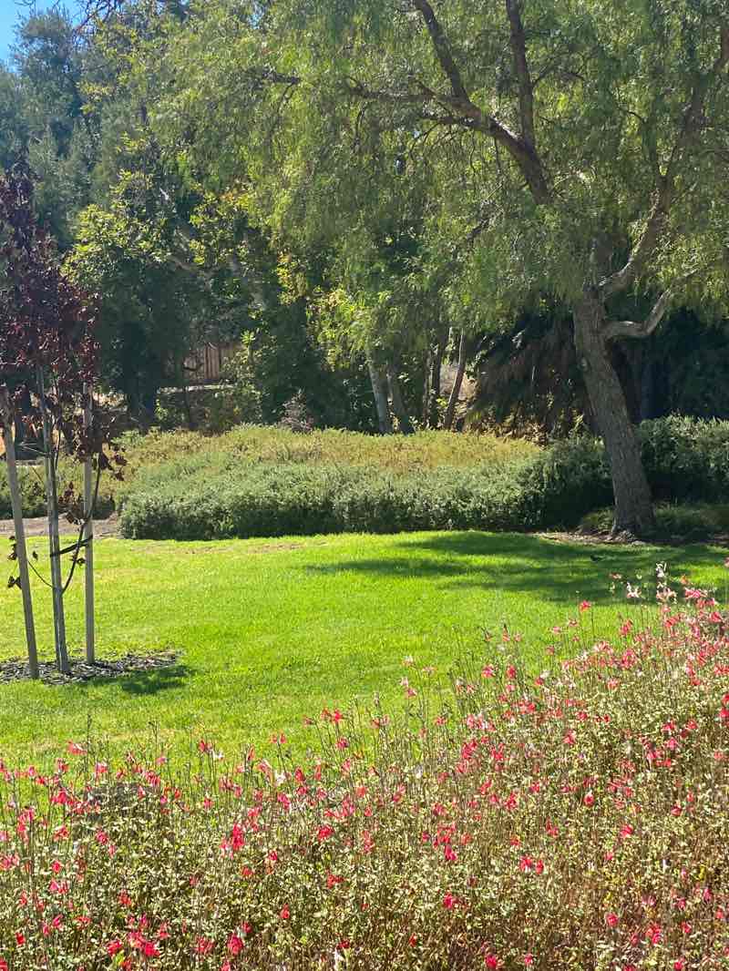 walking near me in Higuera Adobe Park in autumn