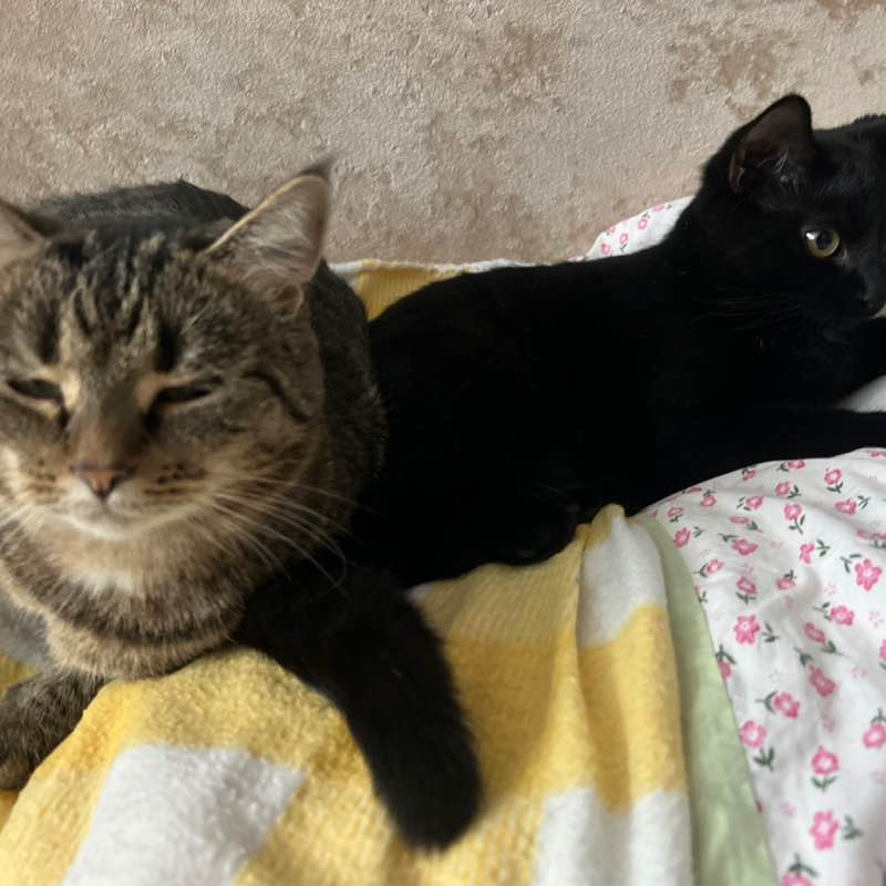 Дана 🇷🇺🇱🇹🇬🇧🌞🌞🌞 post 3